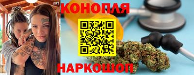 гашик Донецк