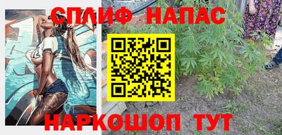 гашик Донецк