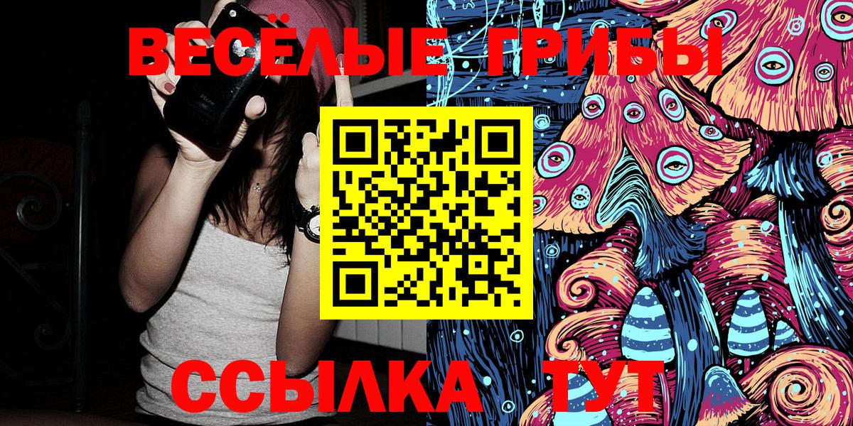Псилоцибиновые грибы Psilocybe  наркотики  Мурино  Вход с VPN 