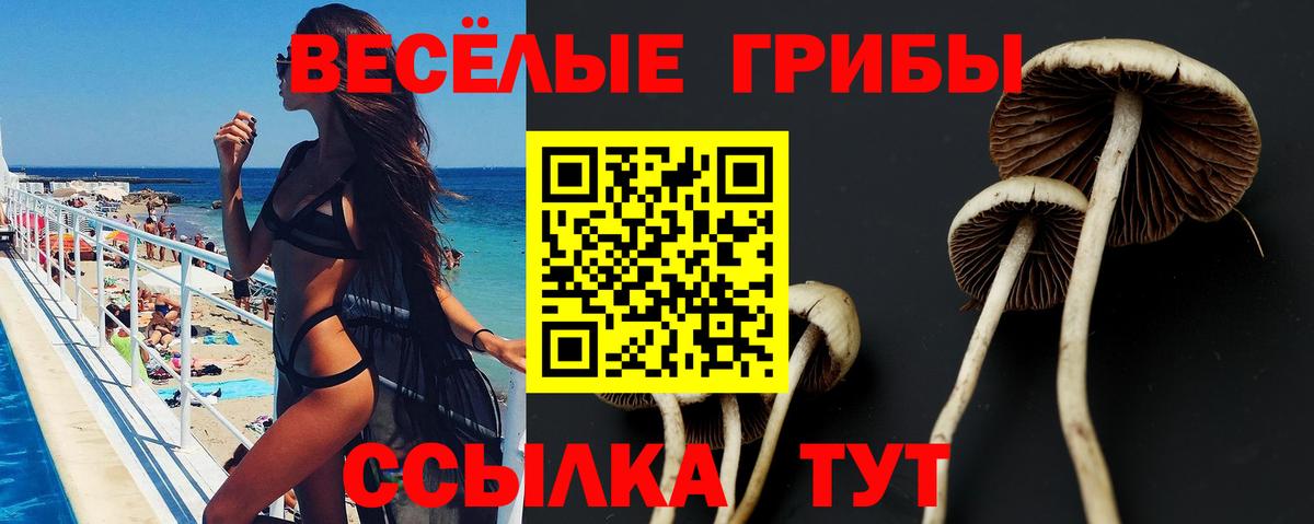 Галлюциногенные грибы MAGIC MUSHROOMS Мурино